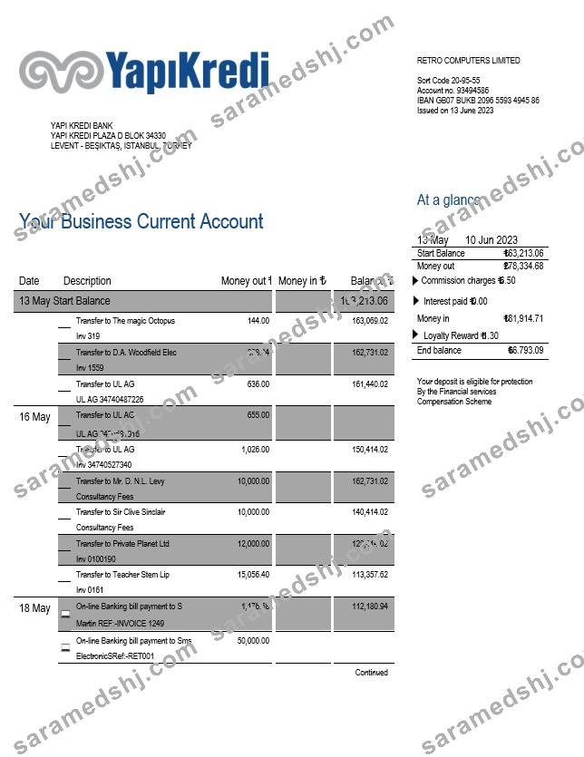 Yapi Kredi Bank organization account statement Word and PDF template